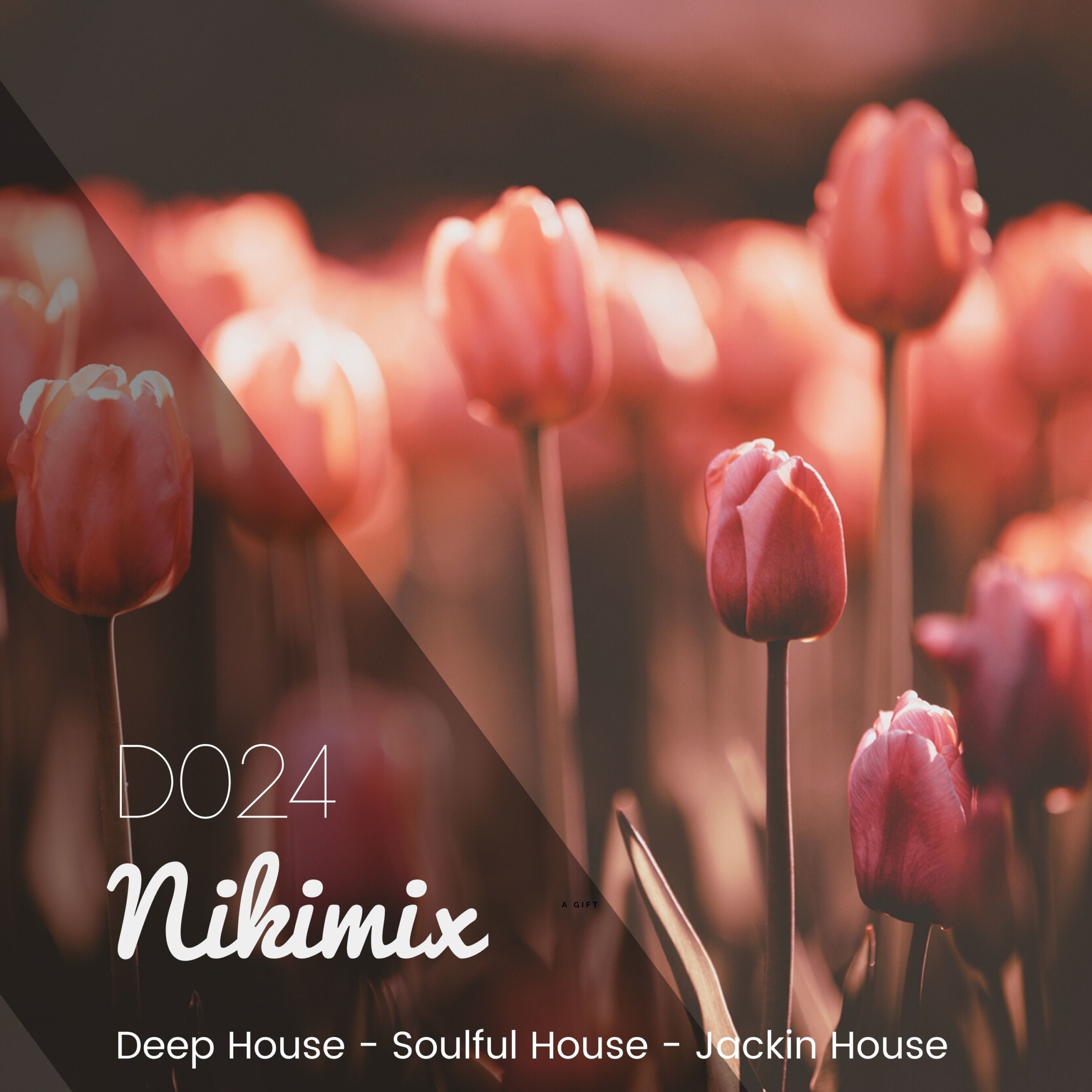 Deep House by Nikimix