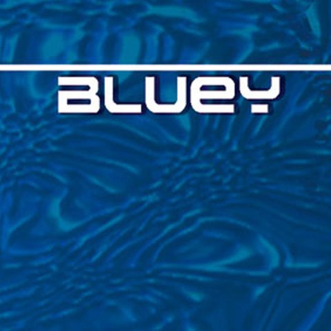 Bluey